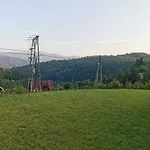 Gliniana زافوية